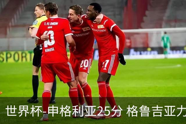 世界杯-申格利亚25分 格鲁吉亚力克委内瑞拉